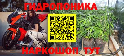 дурь Анжеро-Судженск