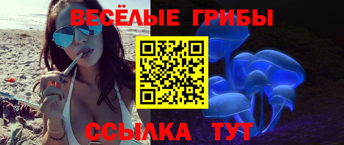 Псилоцибиновые грибы Psilocybe Великие Луки